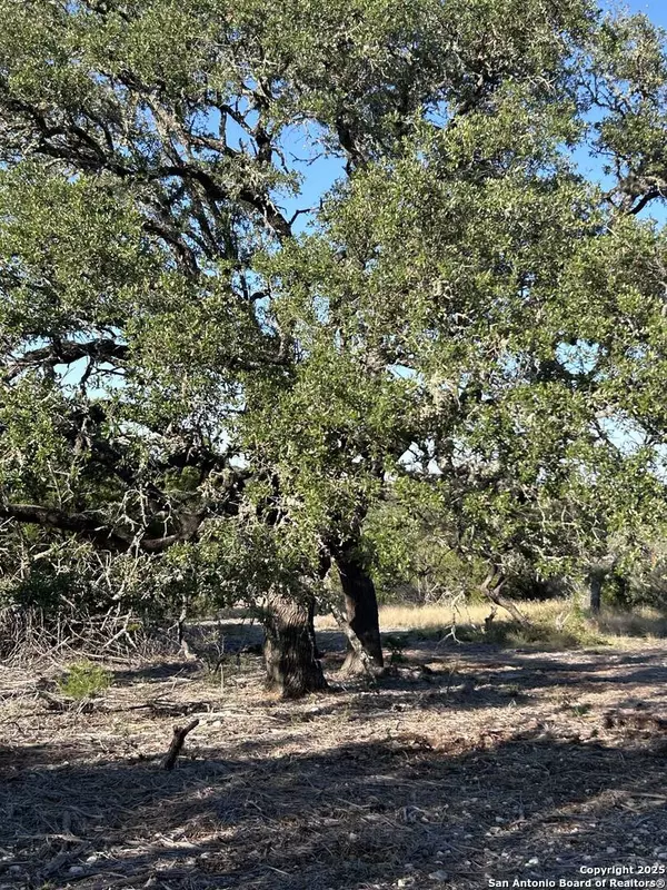 840 sd 23040, Rocksprings, TX 78880