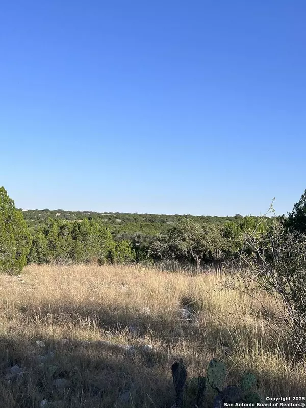 840 sd 23040, Rocksprings, TX 78880