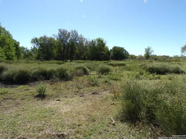 12035 Kearney, Atascosa, TX 78002