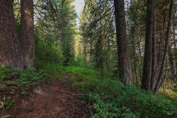 515 Collier View, Cascade, ID 83611