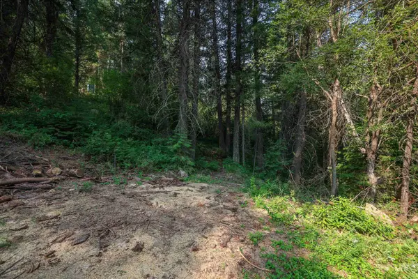 515 Collier View, Cascade, ID 83611