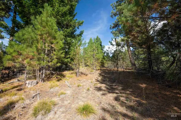 47 Coit Drive, Cascade, ID 83611