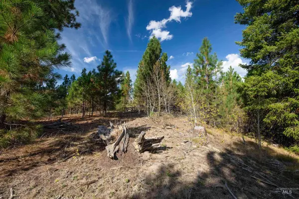 47 Coit Drive, Cascade, ID 83611
