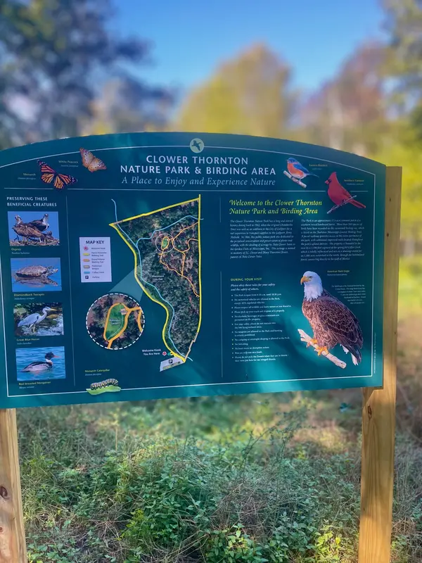 Discover the Clower-Thornton Coffee Creek Nature Trail: Gulfport’s Hidden Gem for Nature Lovers