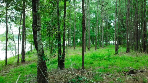Lot 50 Red Canoe, Lumberton, MS 39455