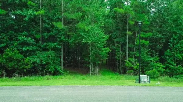Lot 50 Red Canoe, Lumberton, MS 39455