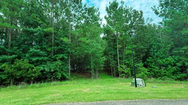 Lot 50 Red Canoe, Lumberton, MS 39455