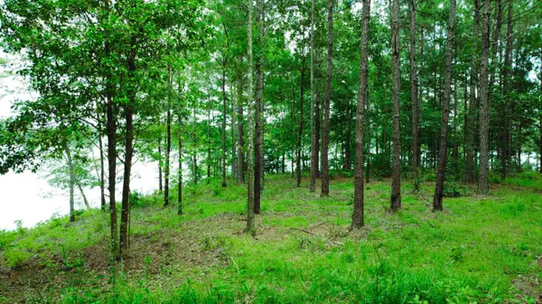 Lot 50 Red Canoe, Lumberton, MS 39455