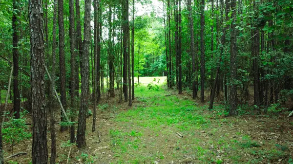 Lot 50 Red Canoe, Lumberton, MS 39455