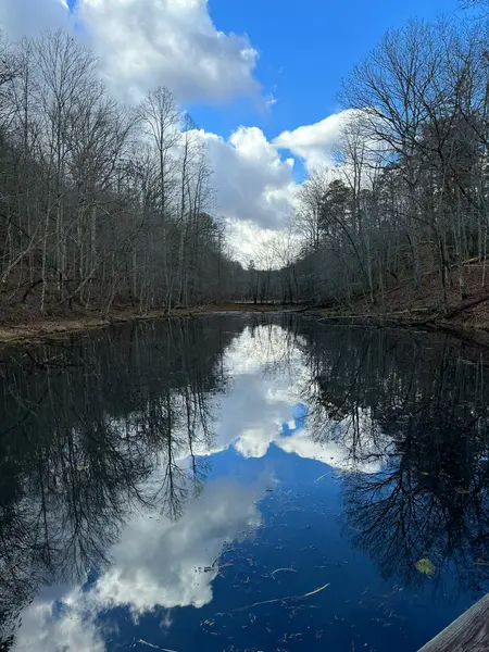Kingsport