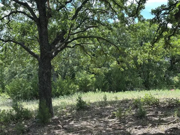 Tract 3 Well Service Road, Bowie, TX 76230