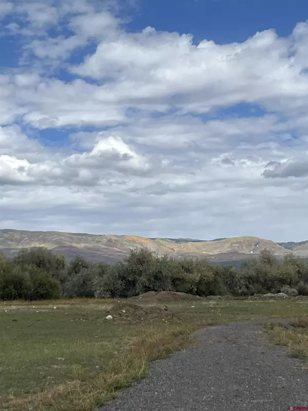 1010 SW 11th Avenue, Cedaredge, CO 81413