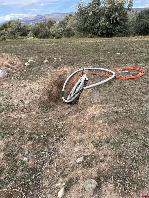 1010 SW 11th Avenue, Cedaredge, CO 81413