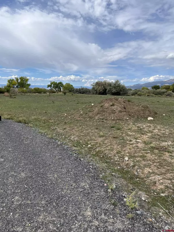 1010 SW 11th Avenue, Cedaredge, CO 81413