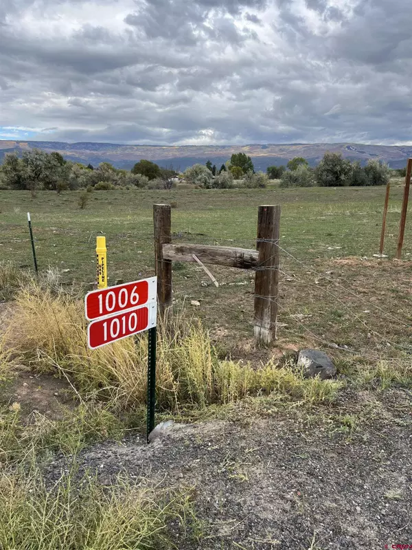 1006 SW 11th Avenue, Cedaredge, CO 81413