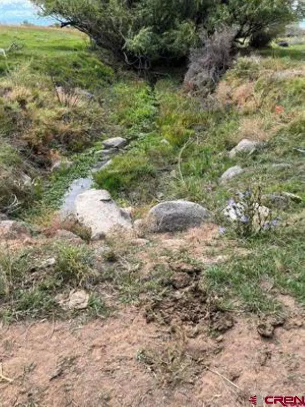 1266 SW 11th Avenue, Cedaredge, CO 81413