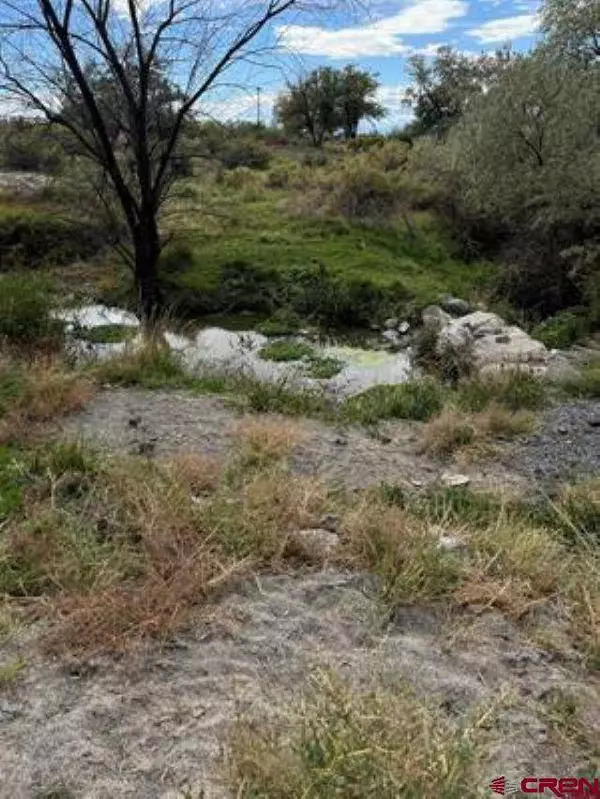 1266 SW 11th Avenue, Cedaredge, CO 81413