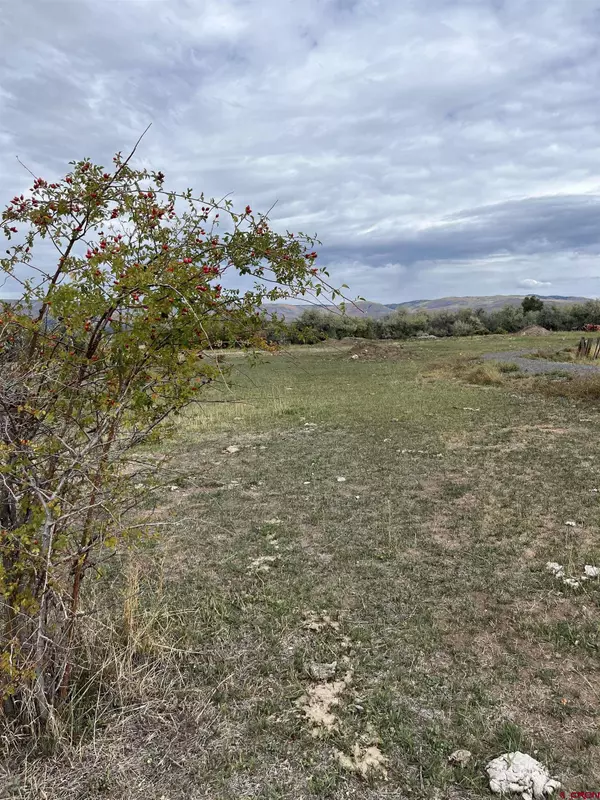 1006 SW 11th Avenue, Cedaredge, CO 81413