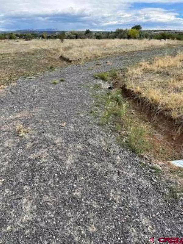 1266 SW 11th Avenue, Cedaredge, CO 81413