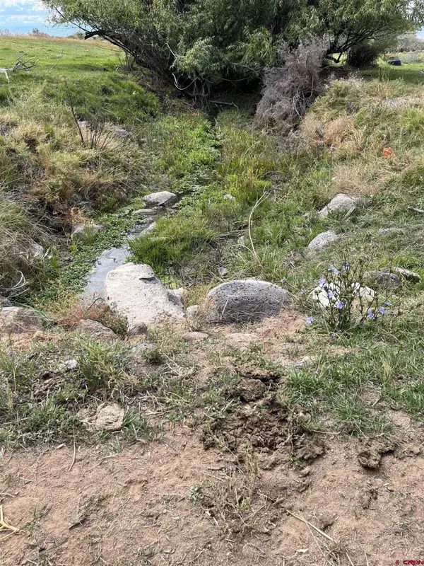 1010 SW 11th Avenue, Cedaredge, CO 81413