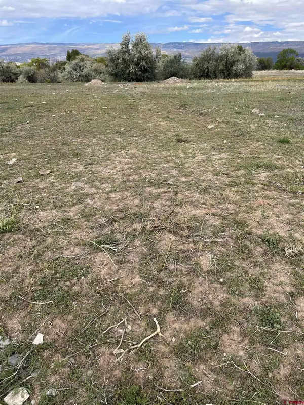 1010 SW 11th Avenue, Cedaredge, CO 81413