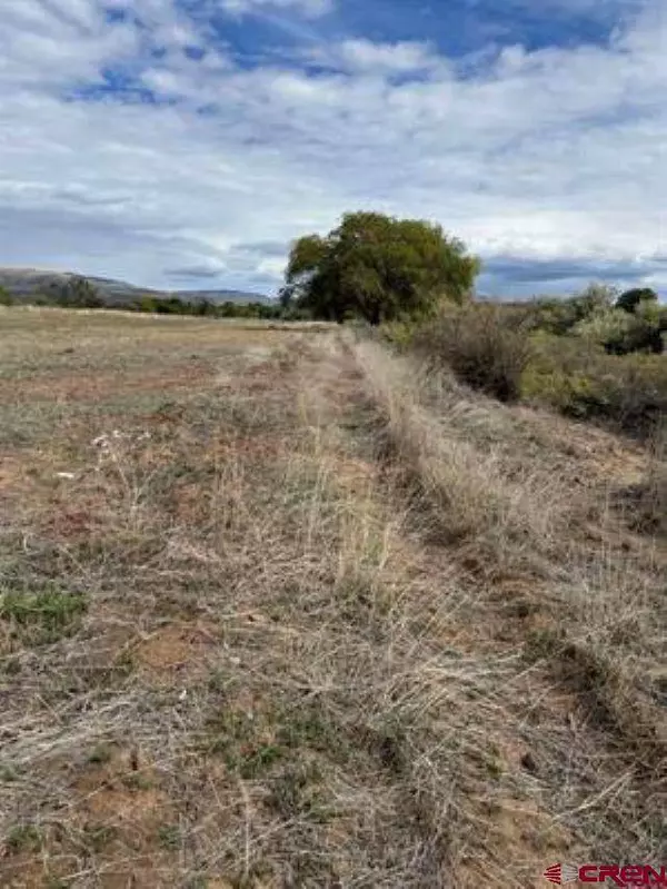 1266 SW 11th Avenue, Cedaredge, CO 81413