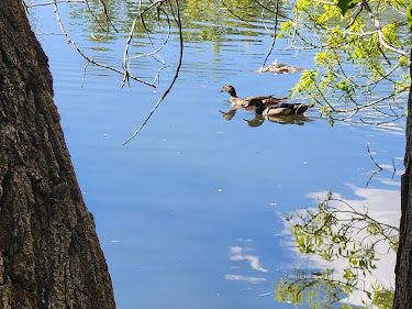 Beus Pond Park