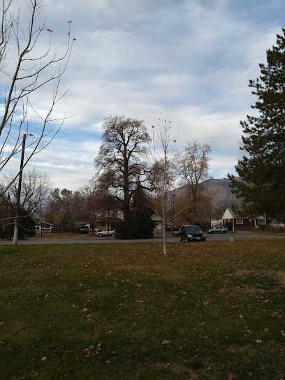 Dee Park