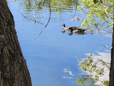 Beus Pond Park