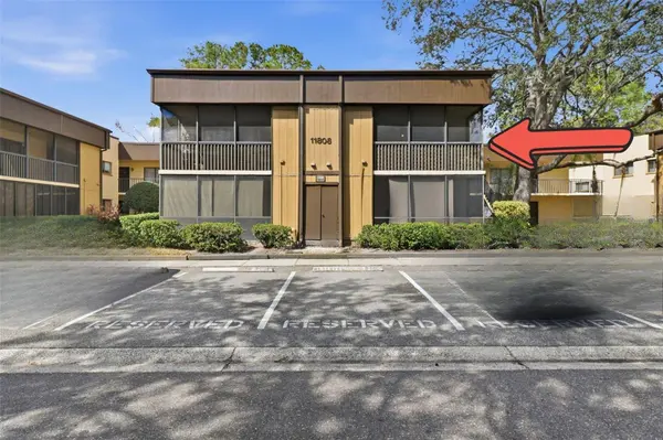 11808 RAINTREE LAKE LN #C, Tampa, FL 33617