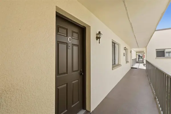 11808 RAINTREE LAKE LN #C, Tampa, FL 33617