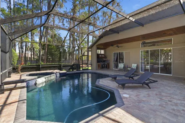 3629 WHISTLING LN, Land O Lakes, FL 34639