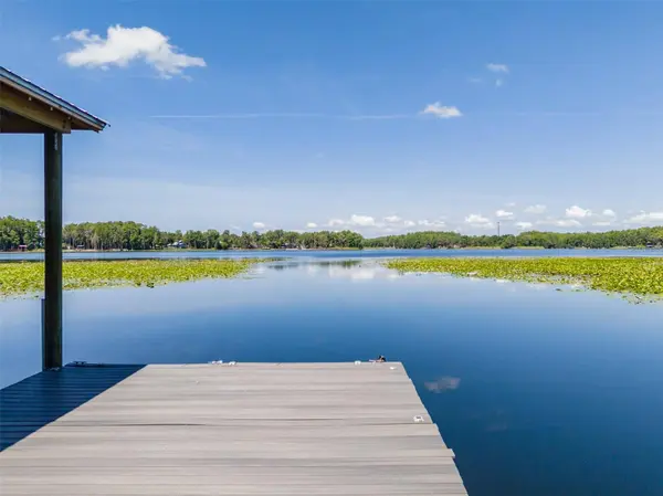 5035 CONNER DR, Land O Lakes, FL 34639
