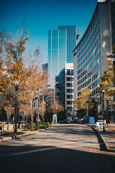 The Woodlands