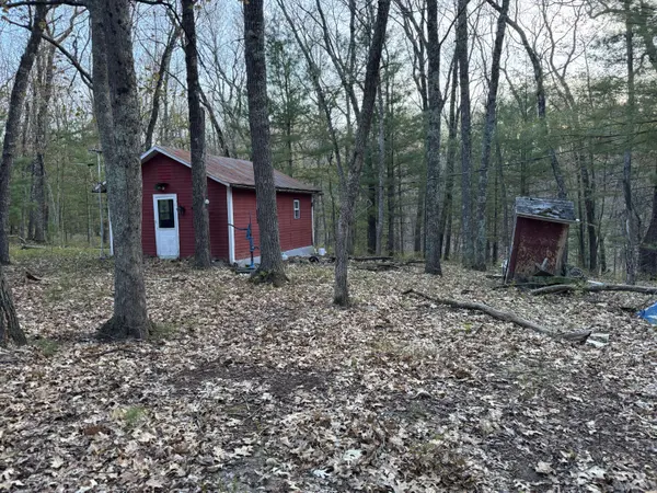 9075 S Larson Avenue, Baldwin, MI 49304