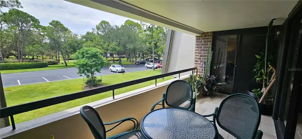 36750 US HIGHWAY 19 N #20-204, Palm Harbor, FL 34684