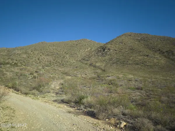 TBD S Limestone RD #0, Portal, AZ 85632