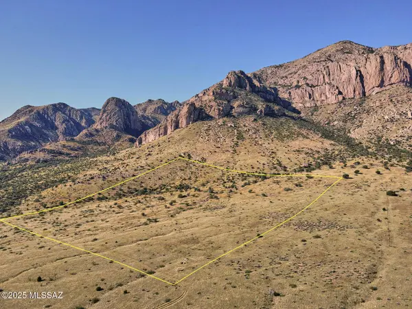 40 Acres Mills BLVD, Portal, AZ 85632