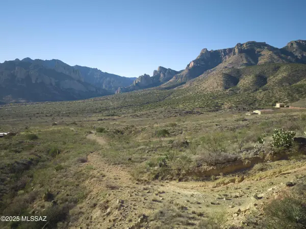 TBD S Limestone RD #0, Portal, AZ 85632