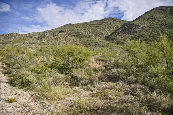 TBD S Limestone RD #0, Portal, AZ 85632