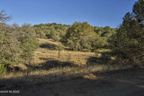 TBD Paradise RD #10, Portal, AZ 85632