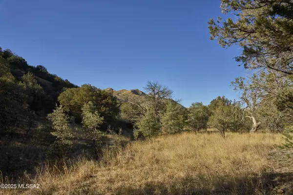 TBD Paradise RD #10, Portal, AZ 85632