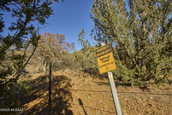 TBD Paradise RD #10, Portal, AZ 85632