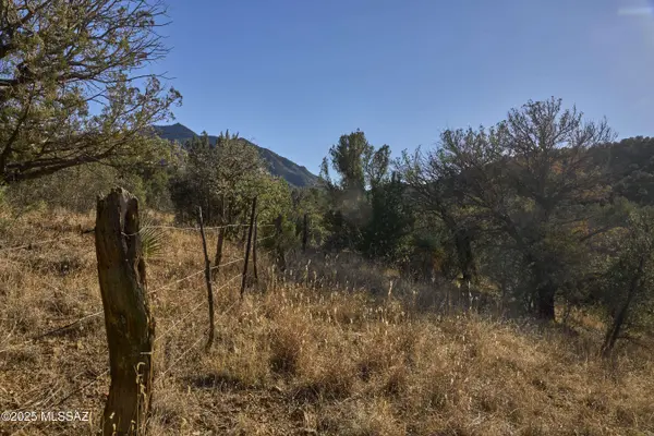 TBD Paradise RD #10, Portal, AZ 85632