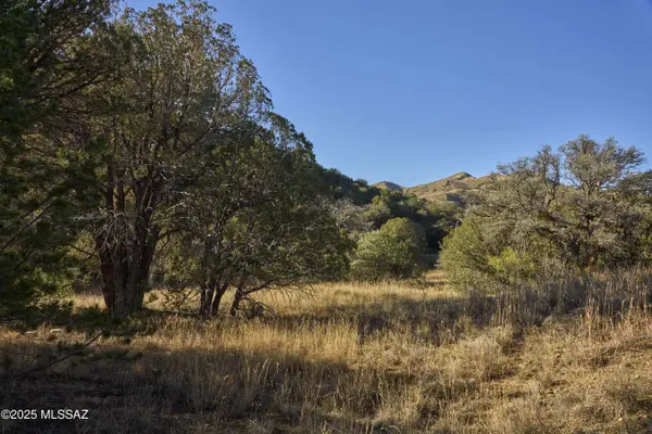 TBD Paradise RD #10, Portal, AZ 85632