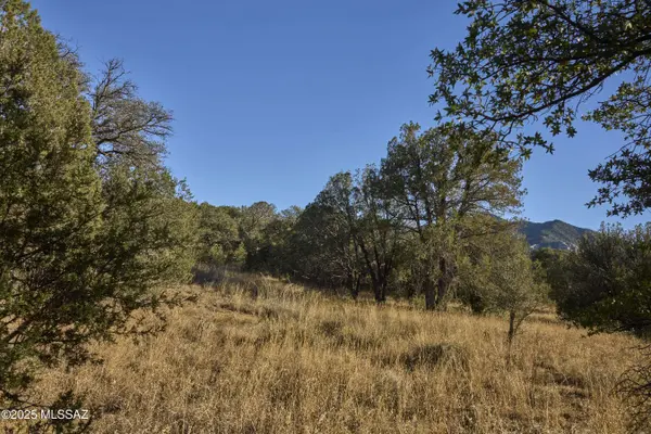 TBD Paradise RD #10, Portal, AZ 85632