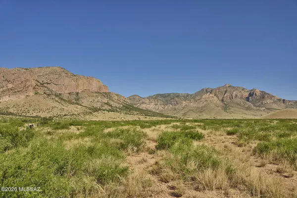 7 Acre +/- S Eagle Ridge TRL #21, Portal, AZ 85632