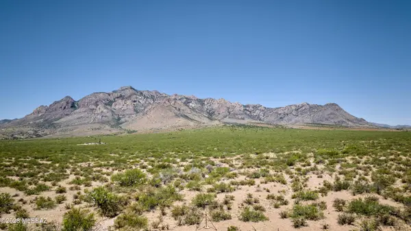 TBS S Bear Mountain Rd #162, Portal, AZ 85632