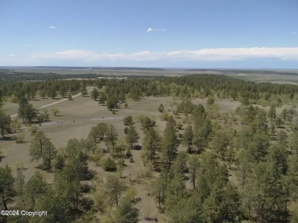 Tract 16 Axe Handle Trail, Hulett, WY 82720