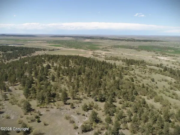 Tract 16 Axe Handle Trail, Hulett, WY 82720